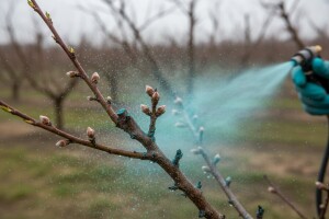 Zaštitite voćne nasade
