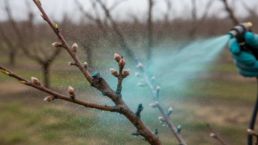Zaštitite voćne nasade
