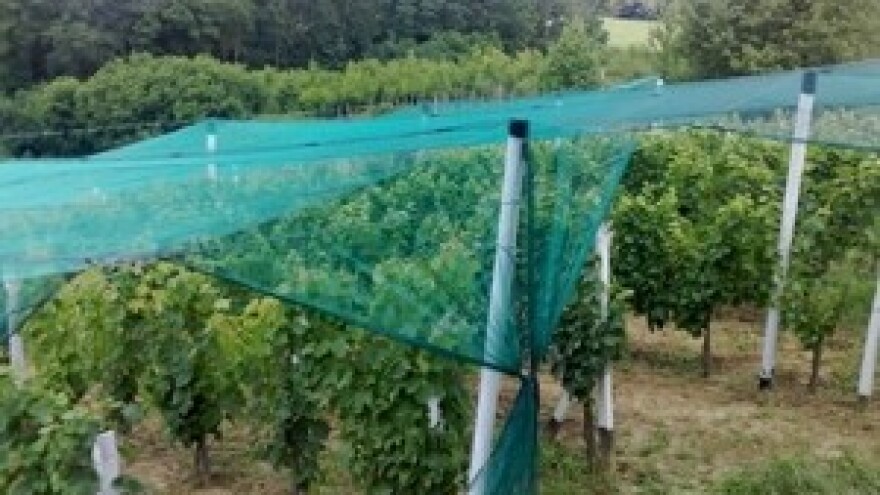 Florina na sajmu u Novom Sadu