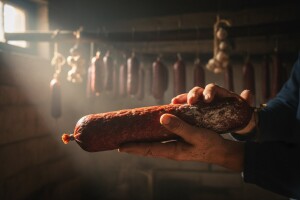 Zaštitom do očuvanja