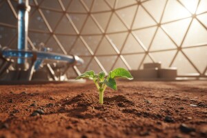 Zašto je važno gajenje krompira na Marsu?