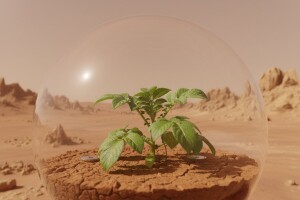 Zašto je važno uzgojiti krumpir na Marsu?