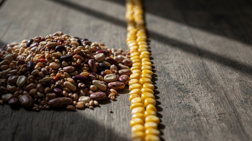 Zašto preferiramo određene sorte sjemena?