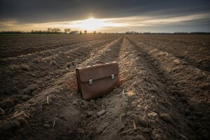 Zašto se bildaju cijene hektara državnih oranica?