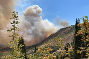 U gašenju požara kod Dubrovnika smrtno stradao vatrogasac