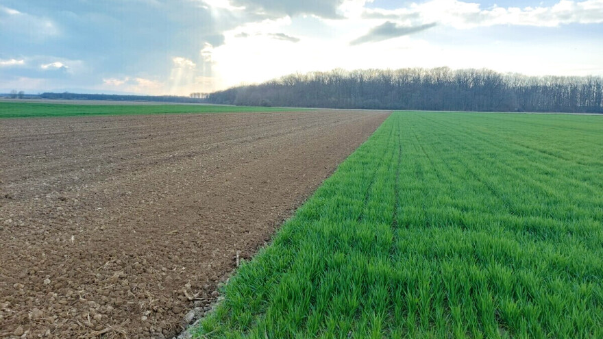 Krenula obvezna primjena GAEC 7 uvjeta - odnose se na plodored