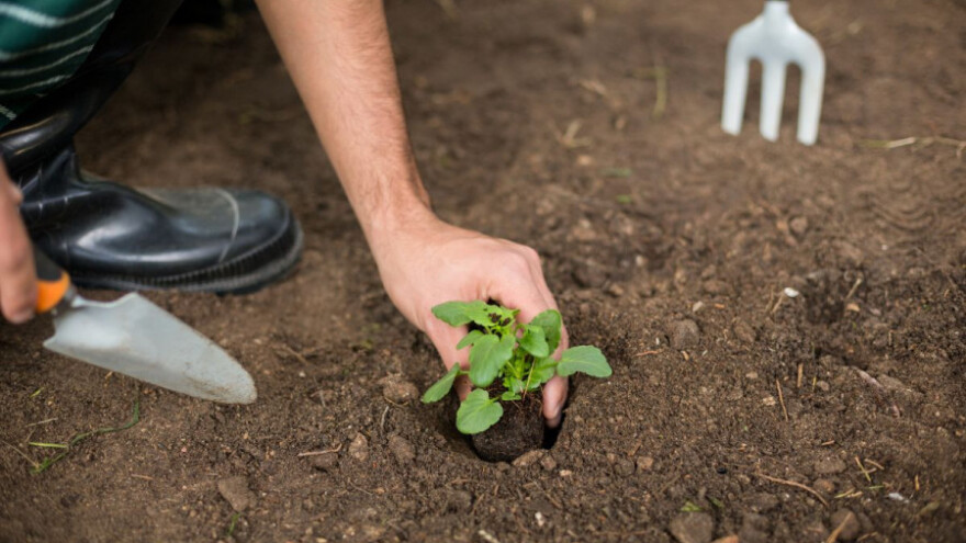 Zatvorenici u Busovači proizvode eko hranu!