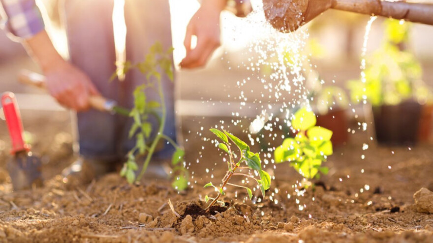 Ide im, zatvorske farme zaradile 140.000 KM!