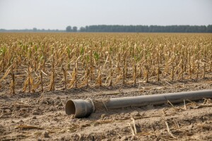 Zaustavljen najveći projekt navodnjavanja - usred suše!