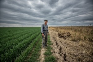 Zaustavljena primjena Zakona o poljoprivrednom zemljišu