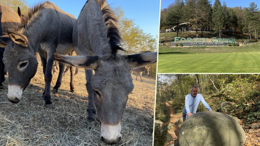 Magaraca ima puno više u Bosni, nego u Hercegovini
