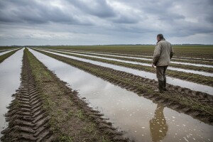 Zbog lošeg vremena kasni proljetna sjetva