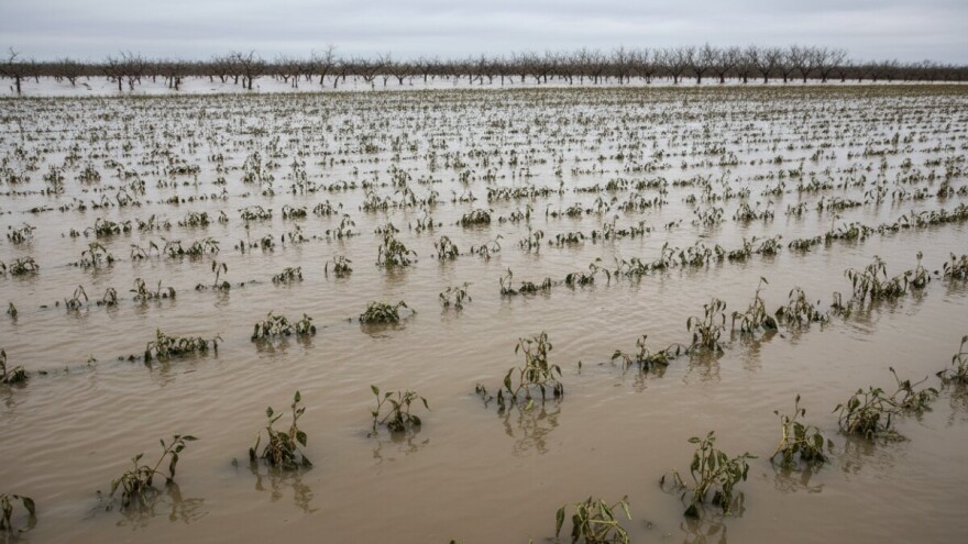 Zbog poplave uvoziti ćemo sirovine