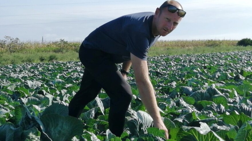 Urod kupusa niži za 30 do 40 posto, toliko će mu porasti i cijena?