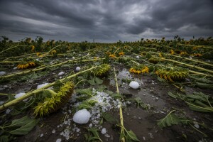 Zbog tuče proglašena elementarna nepogoda