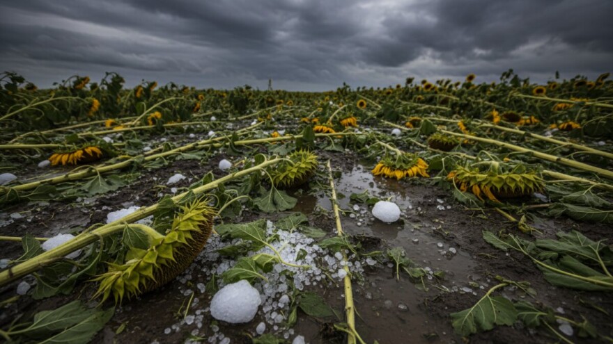 Zbog tuče proglašena elementarna nepogoda