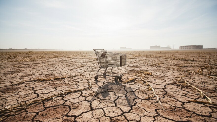 Zbog Vladine politike ćemo opet po "špeceraj" u inozemstvo
