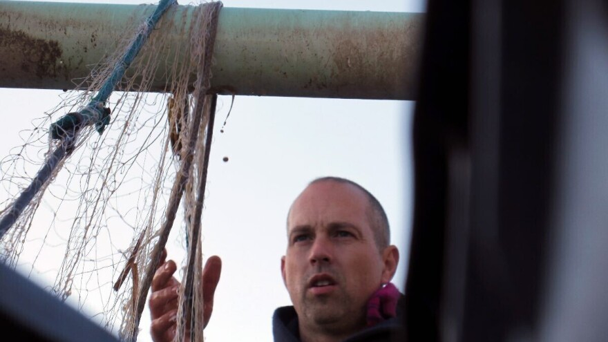 Resursi u moru se smanjuju, a stanovništva je sve više. Koliko je plava riba važna u prehrani?