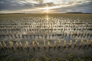 Zbrajanje šteta od poplava