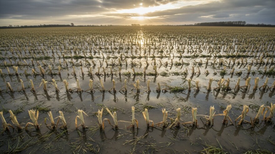 Zbrajanje šteta od poplava