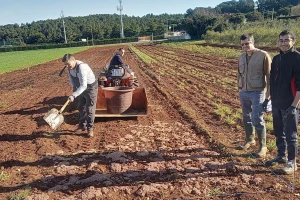 Kompost od komine maslina je vrijedan resurs, ali može biti i opasan za biljke
