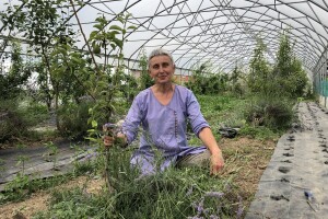 Ekonomistica se okrenula permakulturi, a evo kako je riješila problem nedostatka radnika