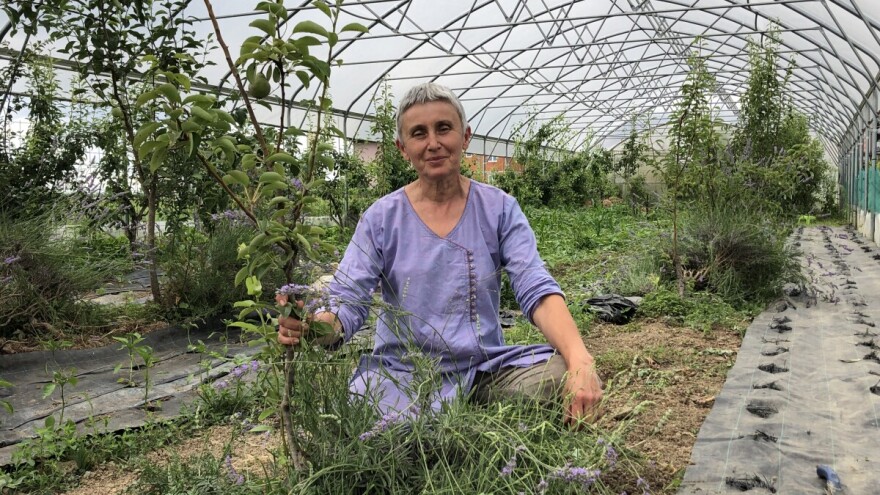 Ekonomistica se okrenula permakulturi, a evo kako je riješila problem nedostatka radnika