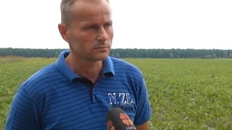 Suzbijanje korova u šećernoj repi!