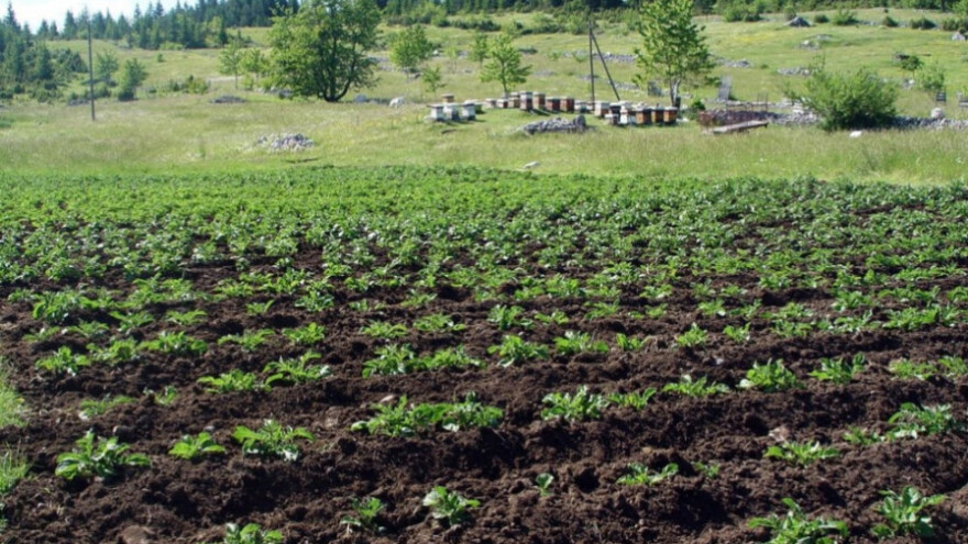 Iz budžeta ZDK isplaćeno 1,5 miliona KM poticaja