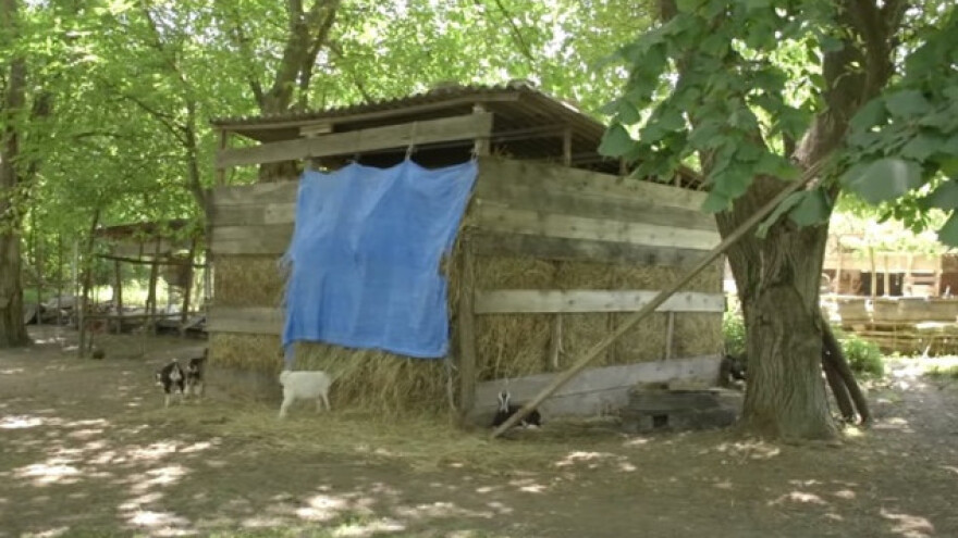 Proizvodnja oraha i uzgoj koza