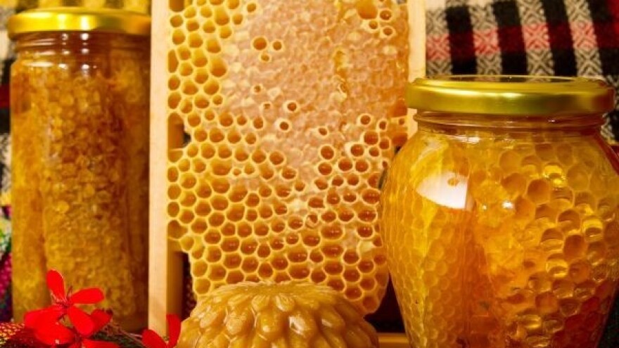 U tijeku je sajam meda u Gradišci