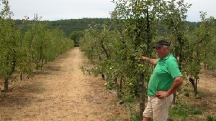 Svaštarenje u proizvodnji omogućuje opstanak?