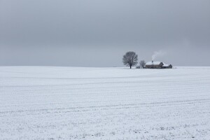 Zeko će tražiti mamu - čeka nas debeli snježni pokrivač i debeli minus