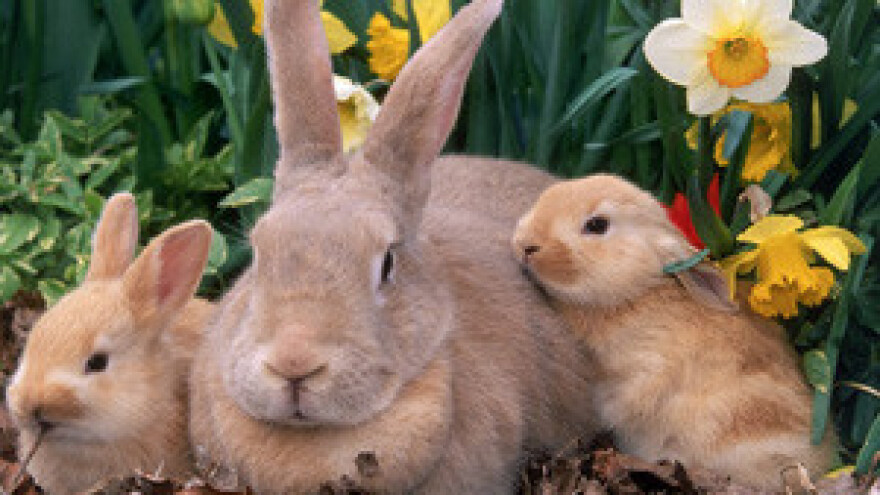 Turistički bum u Slavoniji