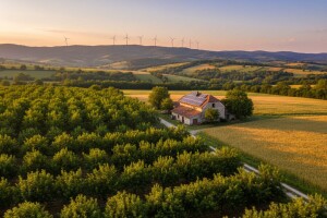 Zelena ekonomija u BiH - ima li šanse?