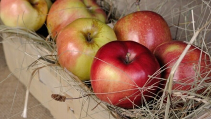 Još stignete na razmjenu domaćih proizvoda