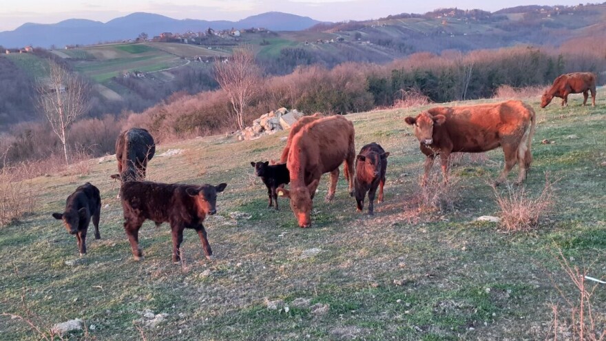 Završena rasprava o Zelenom planu, što očekuje poljoprivrednike u idućem razdoblju?