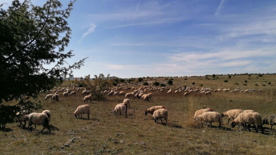 HPK: Smanjivanje proračuna za ZPP za Copa Cogecu je neprihvatljivo