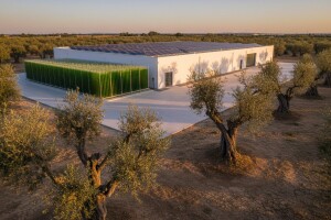 Zelenija tehnologija u preradi maslina!