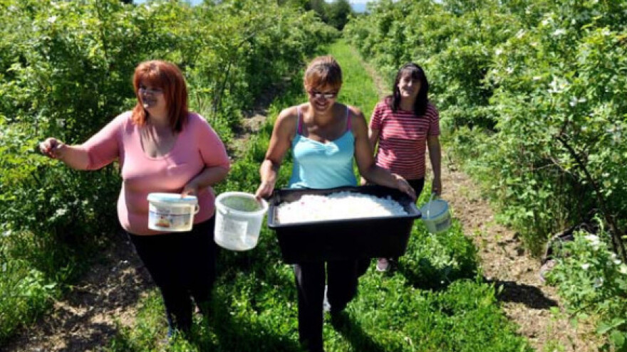 Izmjene natječaja za operaciju 4.2.1.