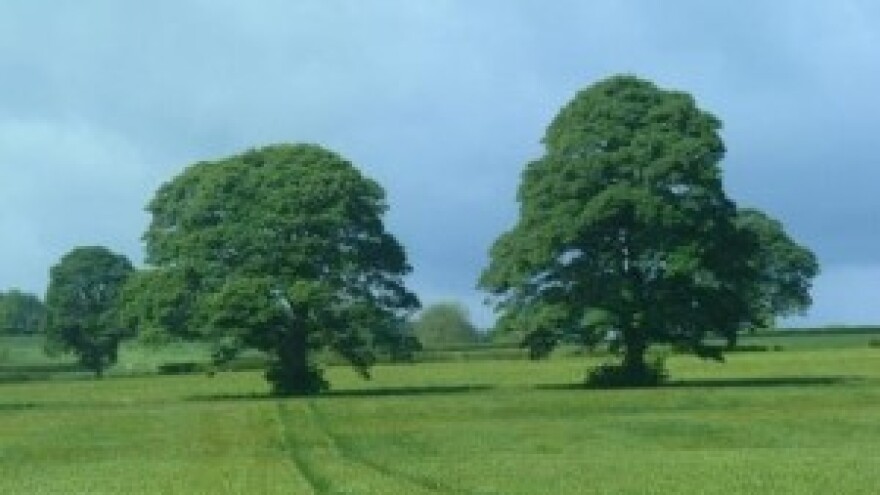 Osnovana LEADER mreža Hrvatske