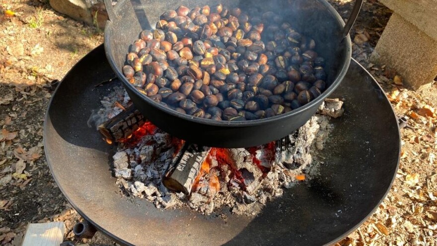 Mirisi i okusi jeseni već idućeg vikenda čekaju vas na 26. Zelinskoj kestenijadi