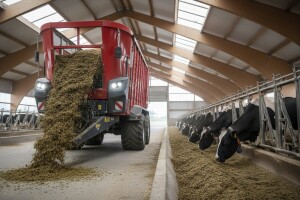 Želite isprobati Strautmann miksericu?