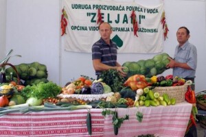 Zeljarijada Vidovec