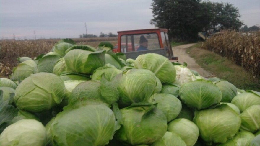Slovenija prigovara zaštiti Varaždinskog zelja