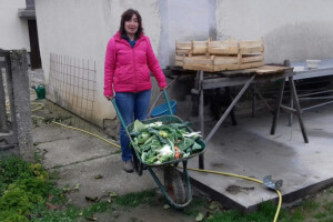 Dva puta ostala bez posla pa otvorila OPG i počela proizvoditi povrće