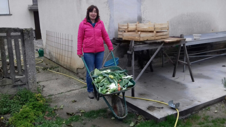 Dva puta ostala bez posla pa otvorila OPG i počela proizvoditi povrće