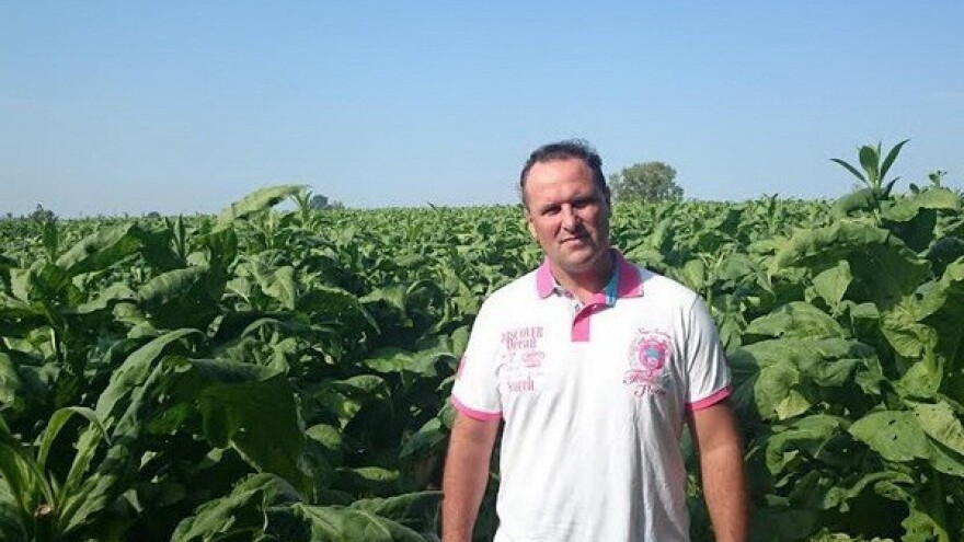 Kultura koja i na pjeskovitom tlu daje dobar urod