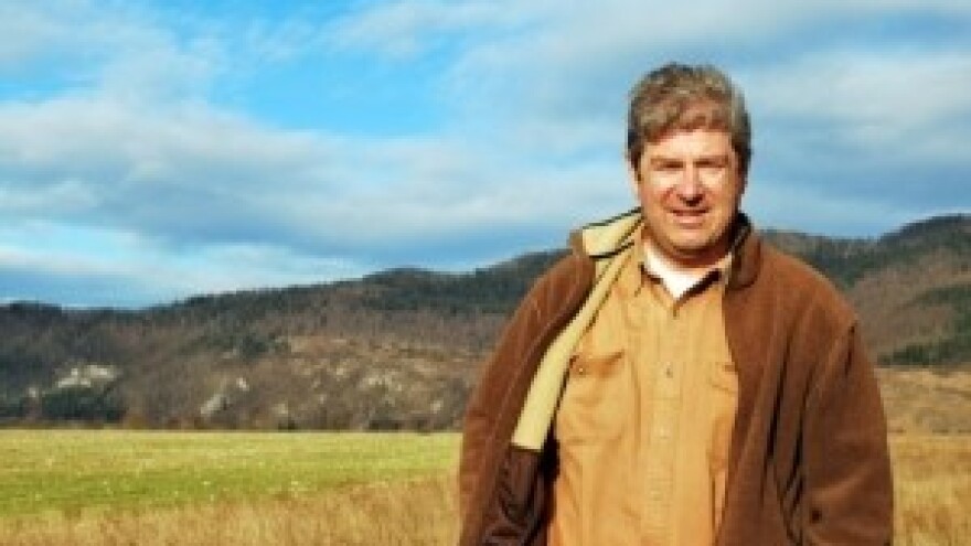 Awassi ovce u Gorskom kotaru