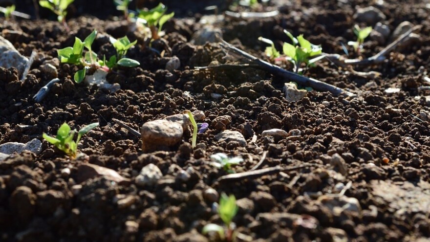 Odredite tip zemljišta, a onda ga poboljšajte!